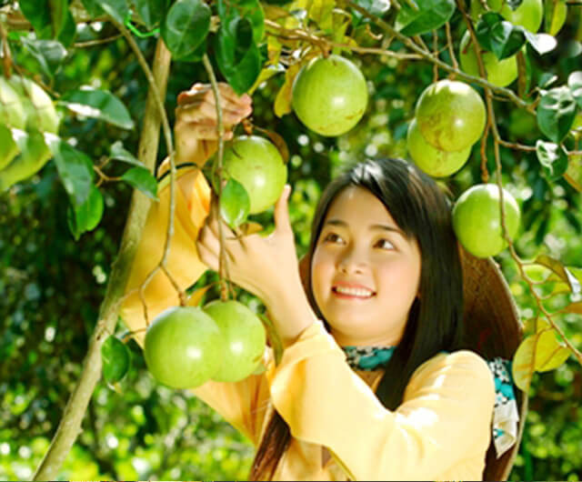 Len-lich-trinh-cung-Godiva-cam-nhan-da-dang-phong-phu-khi-toi-mien-Tay-song-nuoc